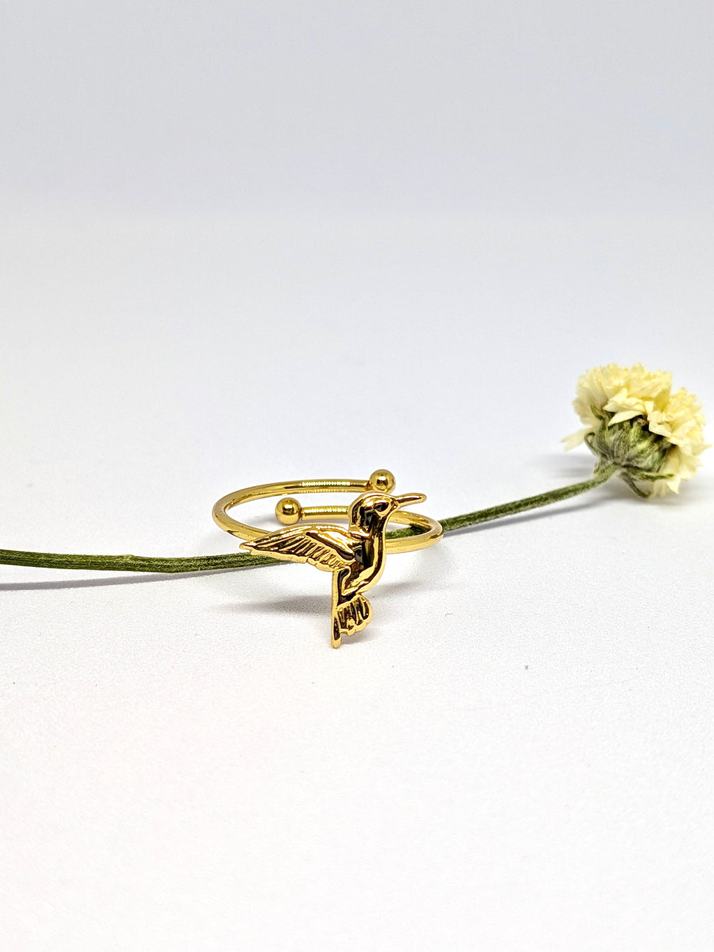 New bird ring