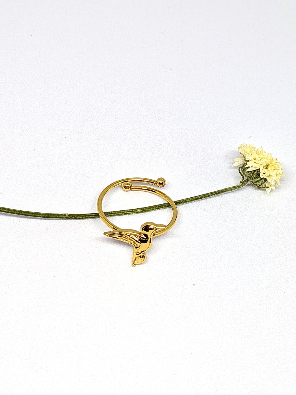 New bird ring