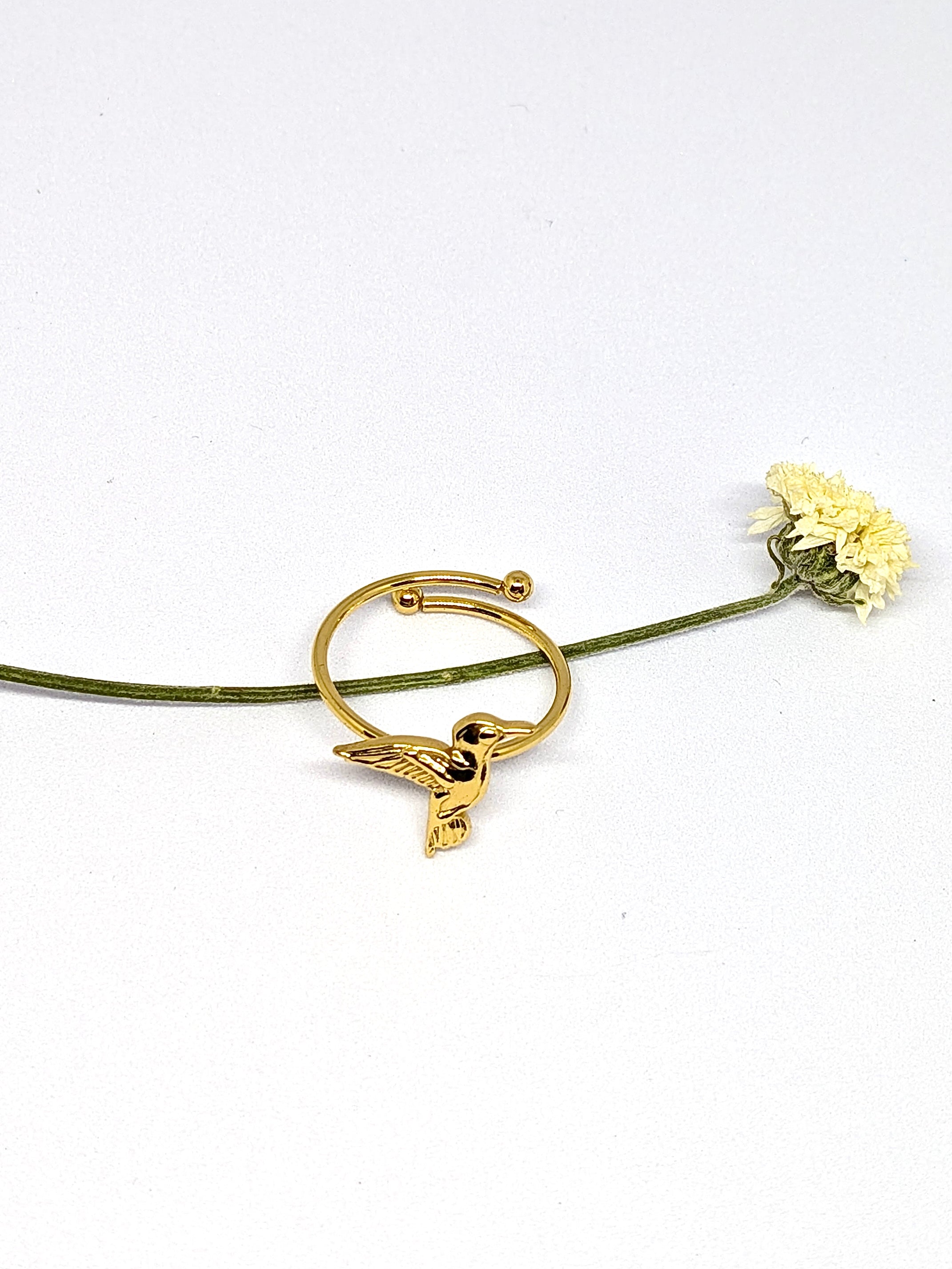 New bird ring
